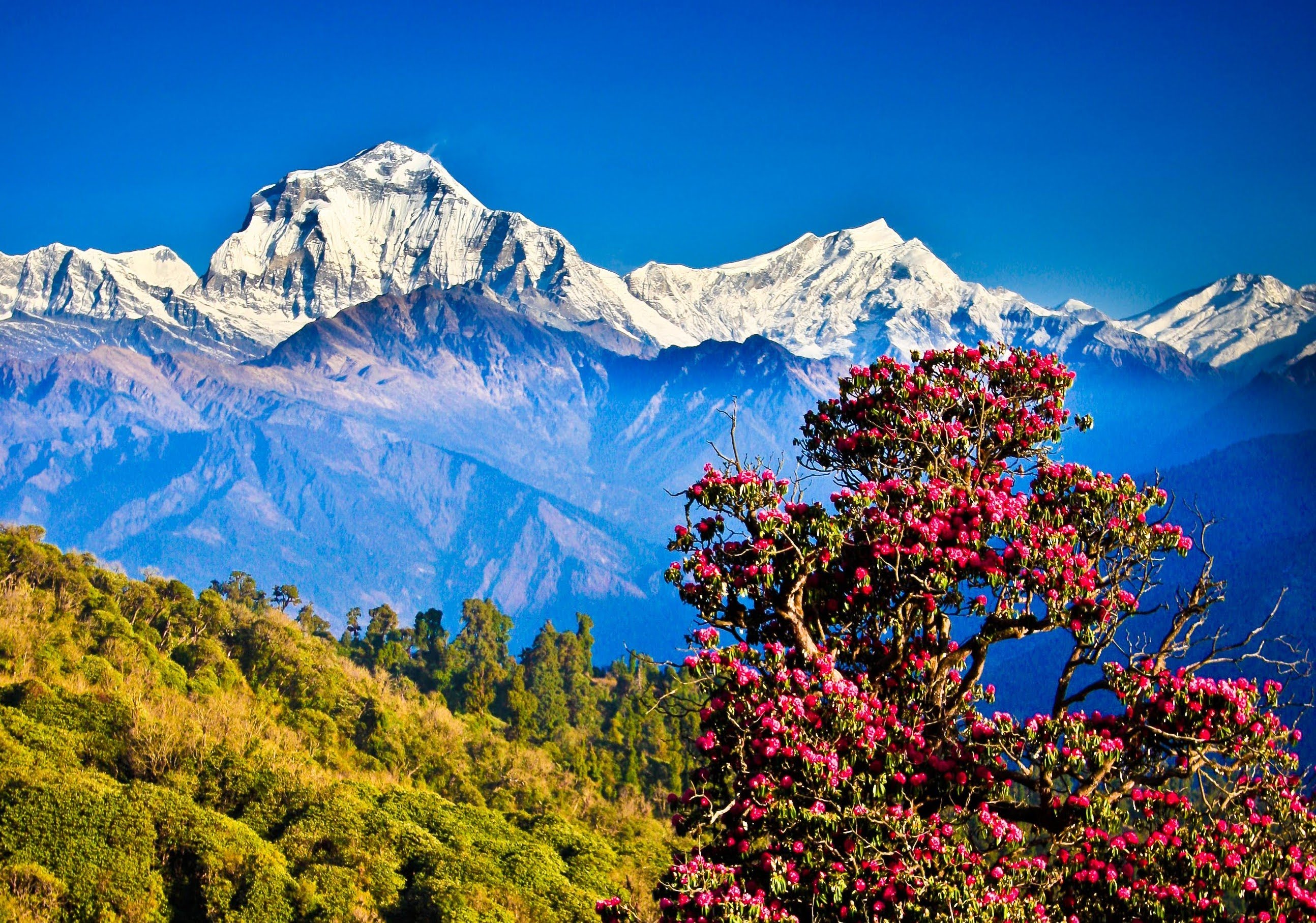 Nagarkot Sunrise Tour with Sallaghari-Changunarayan Hiking